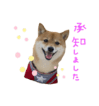 ちくわの日常Ⅲ（個別スタンプ：14）