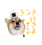 ちくわの日常Ⅲ（個別スタンプ：18）