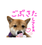 ちくわの日常Ⅲ（個別スタンプ：21）