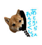 ちくわの日常Ⅲ（個別スタンプ：24）