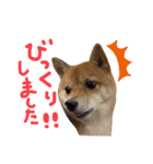 ちくわの日常Ⅲ（個別スタンプ：26）