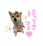 ちくわの日常Ⅲ（個別スタンプ：27）