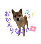 ちくわの日常Ⅲ（個別スタンプ：28）