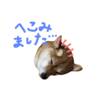ちくわの日常Ⅲ（個別スタンプ：29）