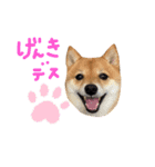 ちくわの日常Ⅲ（個別スタンプ：32）