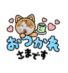 うちのにゃんスタ（個別スタンプ：11）