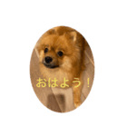 デア DEA（個別スタンプ：1）