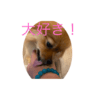 デア DEA（個別スタンプ：2）