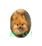デア DEA（個別スタンプ：4）