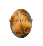 デア DEA（個別スタンプ：5）