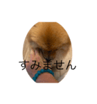 デア DEA（個別スタンプ：6）