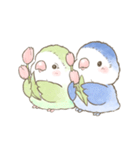 コザクラインコのあおちゃんとあもちゃん3（個別スタンプ：7）