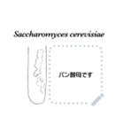 菌とカビと酵母（個別スタンプ：1）