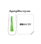 菌とカビと酵母（個別スタンプ：6）