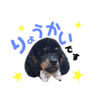 Sieq's stamp（個別スタンプ：1）