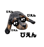 Sieq's stamp（個別スタンプ：7）