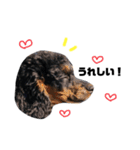 Sieq's stamp（個別スタンプ：9）