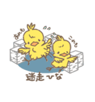 応援したくなるひなぴよ！（個別スタンプ：5）