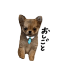 くるたんくるたん（個別スタンプ：5）