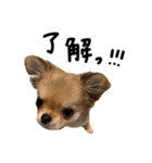 くるたんくるたん（個別スタンプ：7）