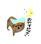 くるたんくるたん（個別スタンプ：9）
