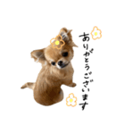 くるたんくるたん（個別スタンプ：14）