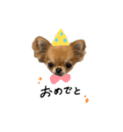 くるたんくるたん（個別スタンプ：15）