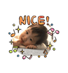 華ちゃん1歳の（個別スタンプ：4）