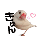 チェリーハウス（個別スタンプ：1）