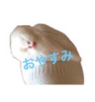 チェリーハウス（個別スタンプ：3）