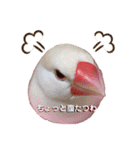 チェリーハウス（個別スタンプ：6）