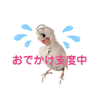 チェリーハウス（個別スタンプ：10）