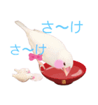チェリーハウス（個別スタンプ：13）