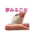 チェリーハウス（個別スタンプ：15）