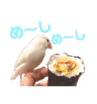 チェリーハウス（個別スタンプ：16）