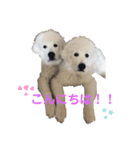 アドエマすたんぷ（個別スタンプ：1）