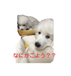 アドエマすたんぷ（個別スタンプ：2）