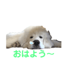 アドエマすたんぷ（個別スタンプ：4）