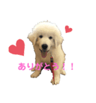 アドエマすたんぷ（個別スタンプ：5）