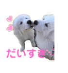 アドエマすたんぷ（個別スタンプ：8）