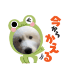アドエマすたんぷ2（個別スタンプ：6）