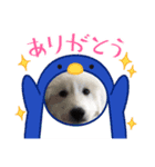 アドエマすたんぷ2（個別スタンプ：8）