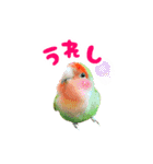 コザクラインコぴーすけとお友だち（個別スタンプ：23）