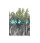 日常いろんなときに使えるときときスタンプ（個別スタンプ：7）