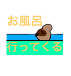 8Beeたぬきスタンプ➕α（個別スタンプ：13）