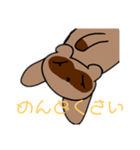 8Beeたぬきスタンプ➕α（個別スタンプ：15）