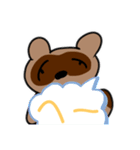 8Beeたぬきスタンプ➕α（個別スタンプ：31）