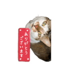 うちのちゅぴVol.2（個別スタンプ：2）
