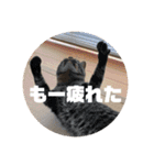 てっちゃんとじーちゃん（個別スタンプ：1）