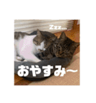 てっちゃんとじーちゃん（個別スタンプ：4）